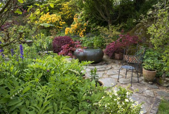 Designing Low-Maintenance Shade Gardens