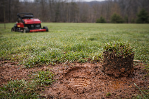 How Virginia Clay Soil Impacts Your Lawn in Early Spring