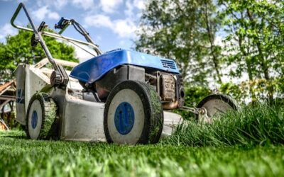 Common Early Spring Lawn Mistakes Homeowners Make in Central Virginia
