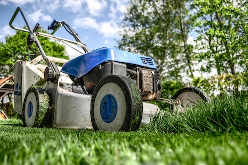 Common Early Spring Lawn Mistakes Homeowners Make in Central Virginia
